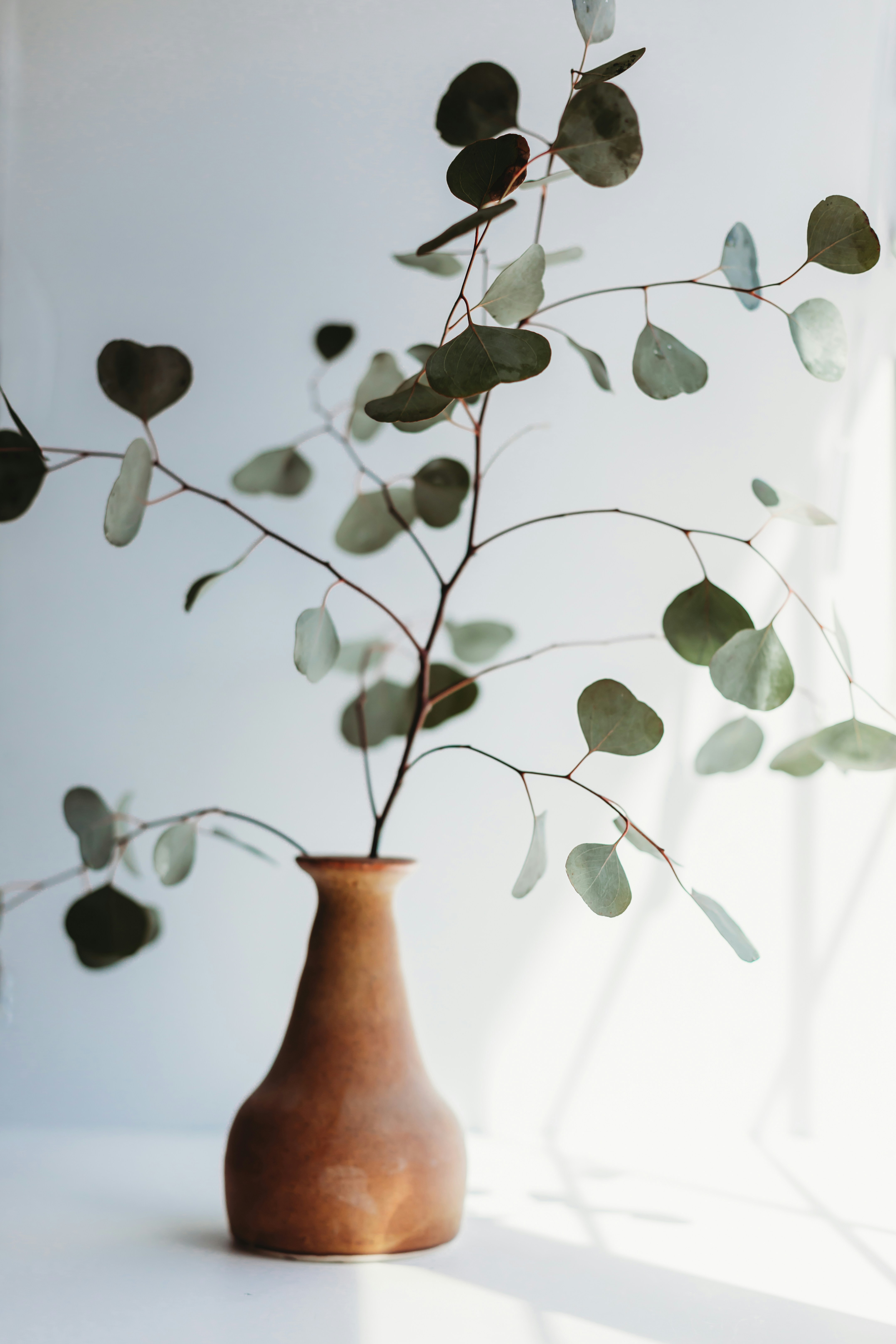 A calm, grounded space